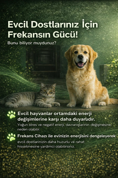 ZenFreq Frekans Cihazı